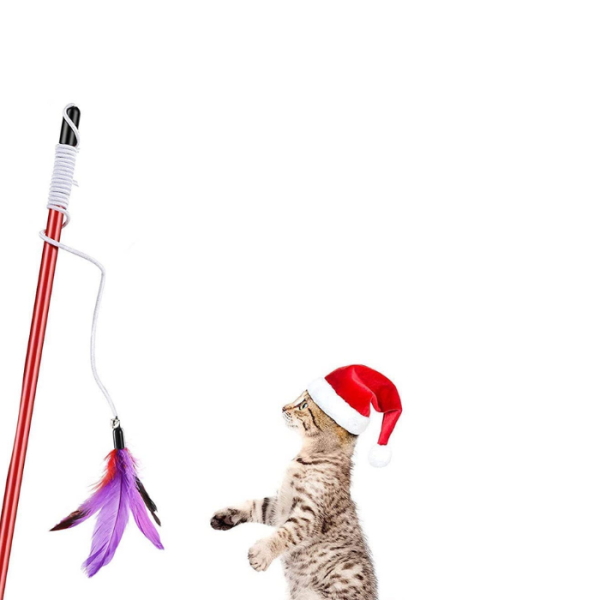 The Pets Company Cat
