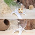 Silent hamster exercise wheel flying saucer disc design with anti-slip surface โ Pet Multiverse India