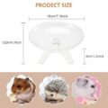Pet Multiverse silent hamster exercise wheel BPA-free pet-safe plastic running wheel for small pets India