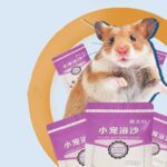 Hamster sand bathing India 500g dust free natural grooming sand Pet Multiverse