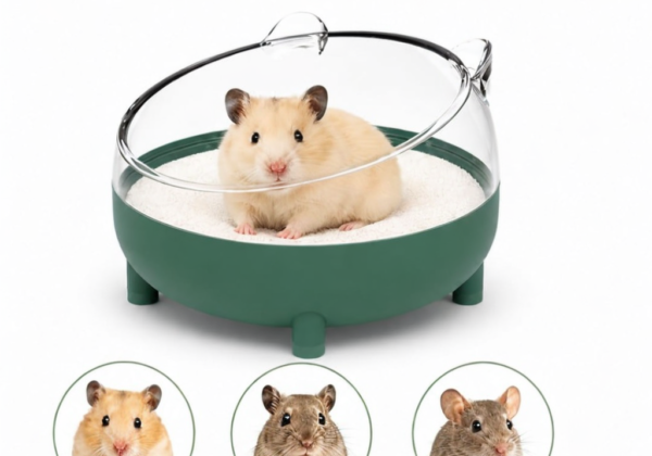 Hamster sand bath bowl suitable for hamsters gerbils and mice Pet Multiverse India
