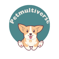 DeWatermark.ai_1744613875494-removebg-preview-1-Photoroom(1)